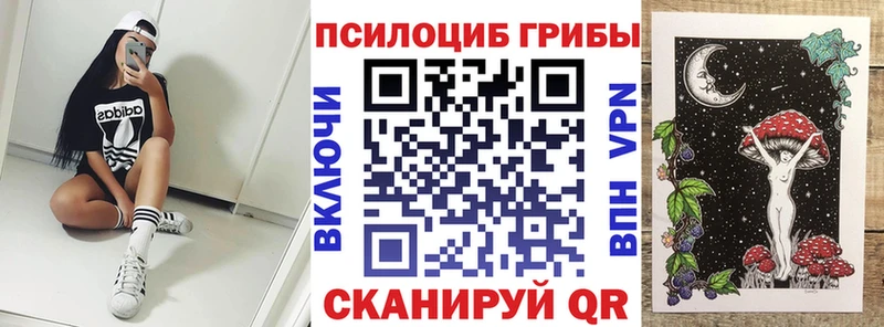 Псилоцибиновые грибы Cubensis  Озёры 